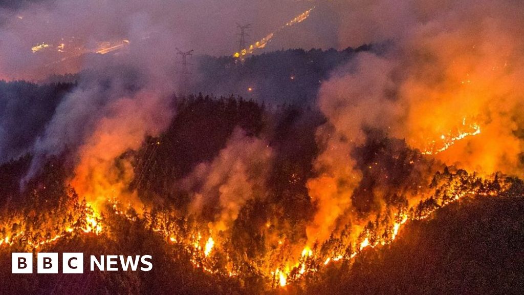 Chinese motorcyclists join Chongqing wildfire battle #chicomnews