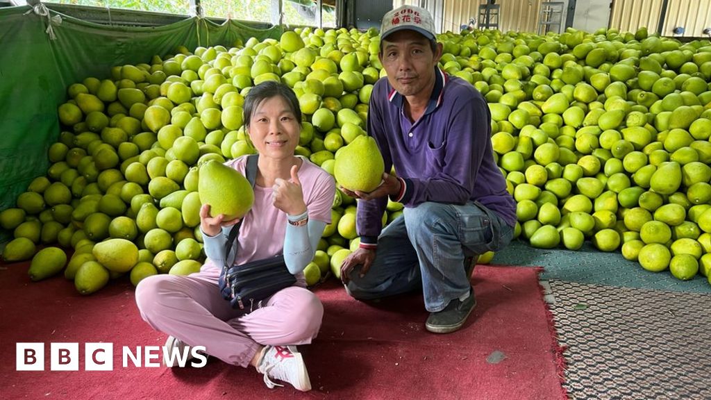 The farmers caught up in Taiwan’s tensions with China #chicomnews