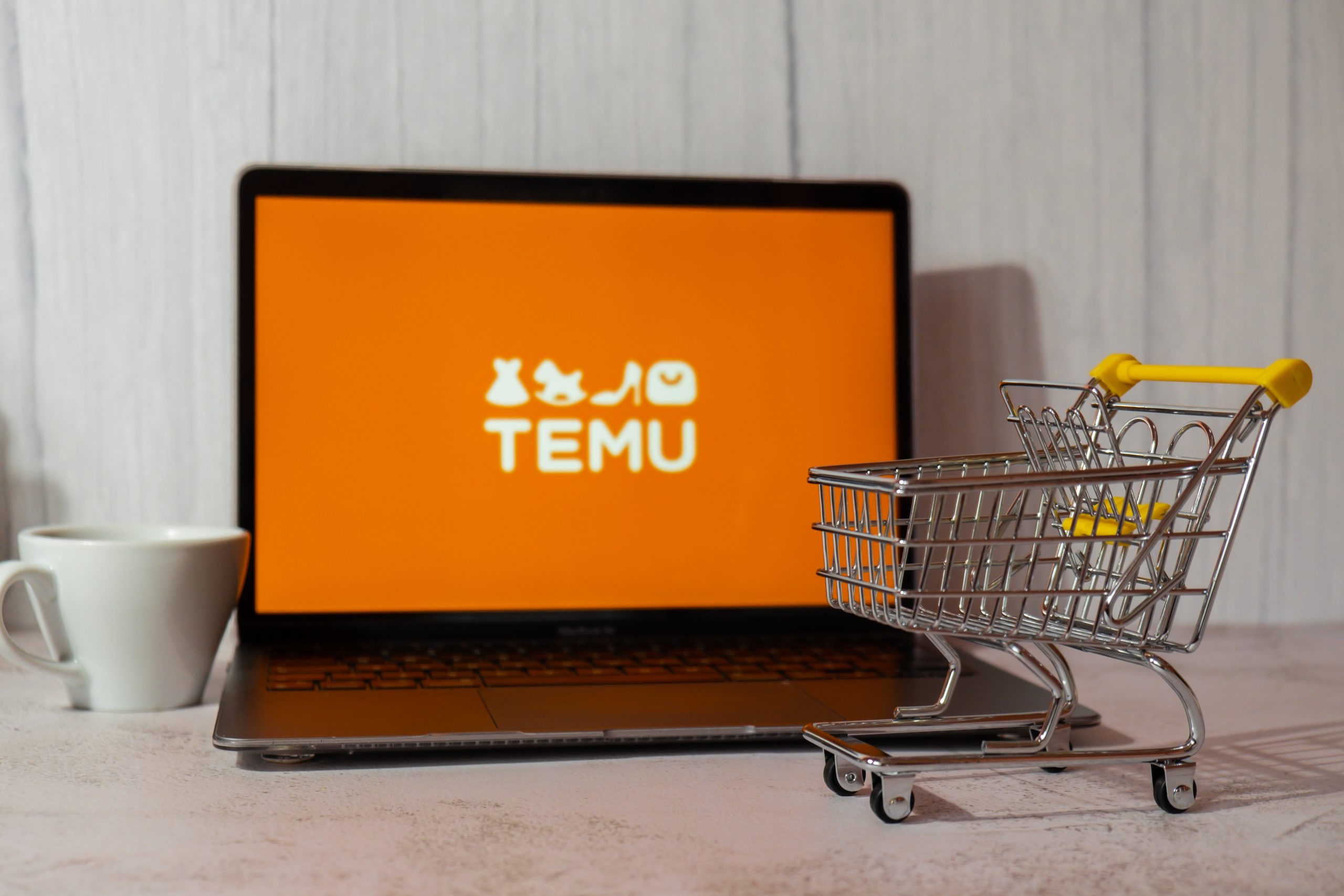 Temu takes legal action against scam sites to safeguard consumers · TechNode #chicomnews