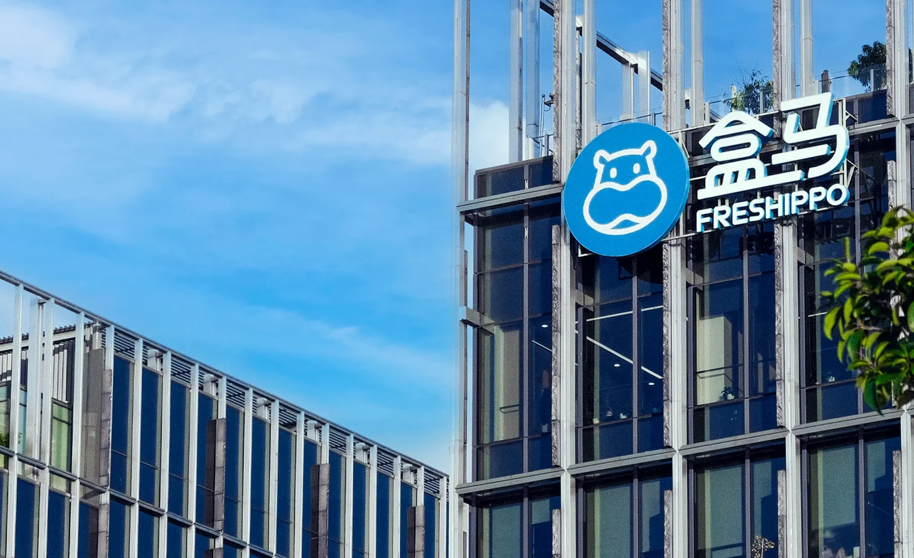 Freshippo achieves four months of profitability after major restructuring: report · TechNode #chicomnews